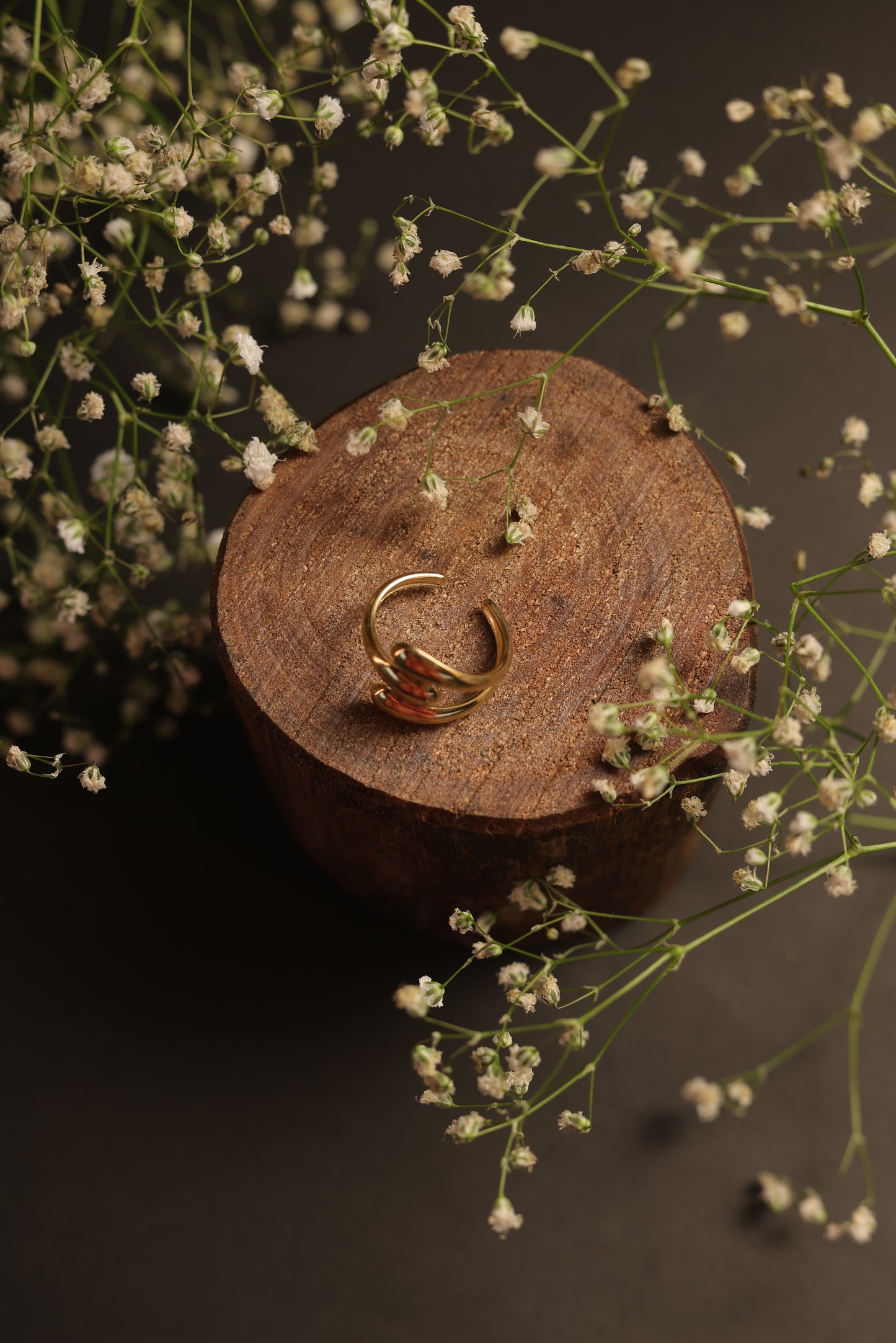 Aurora Twist Ring